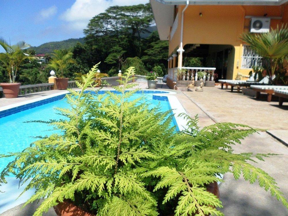 Albizia Lodge Green Estate Pointe Au Sel 外观 照片